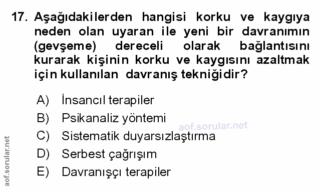 Soru 17
