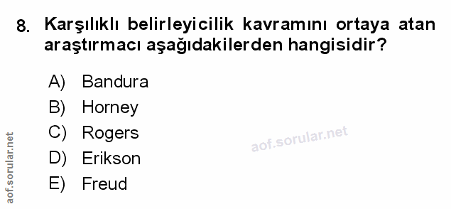 Soru 8