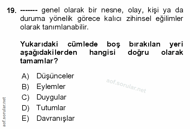 Soru 19