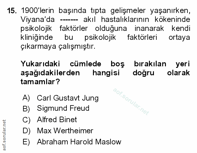 Soru 15