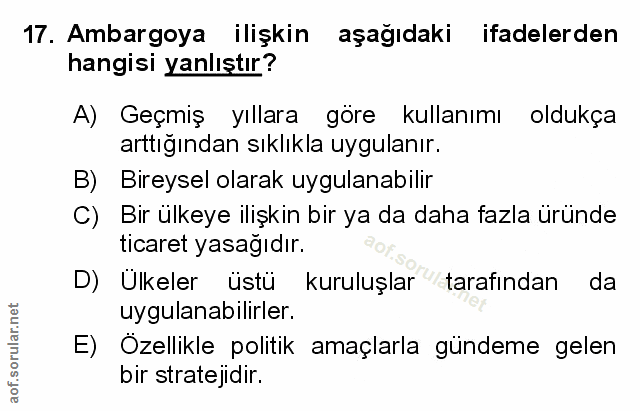 Soru 17