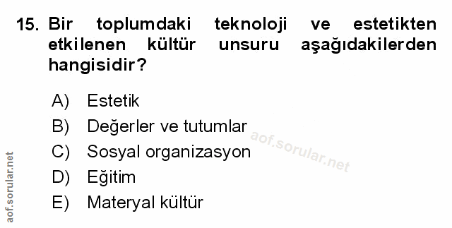 Soru 15