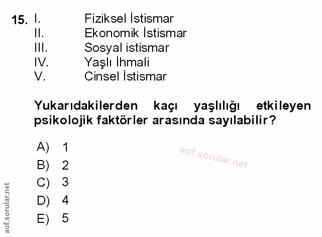 Soru 15