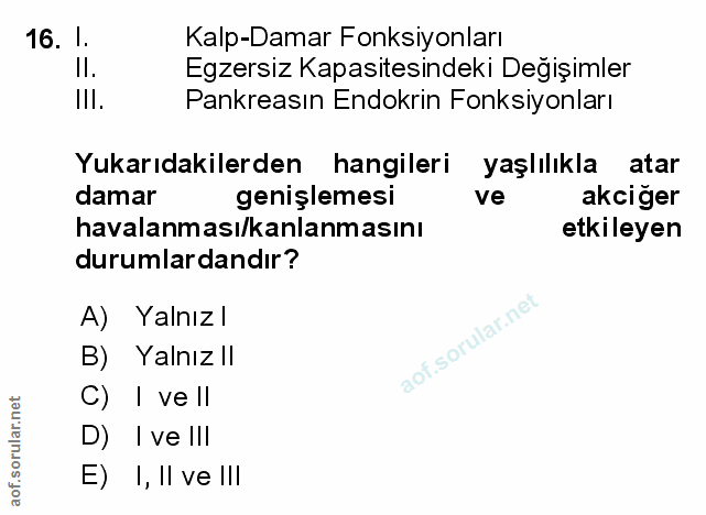 Soru 16
