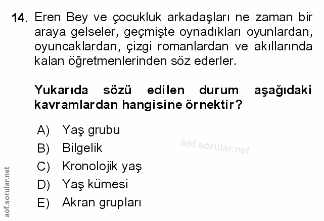 Soru 14