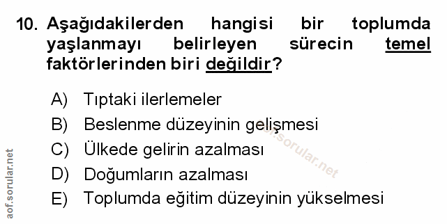 Soru 10