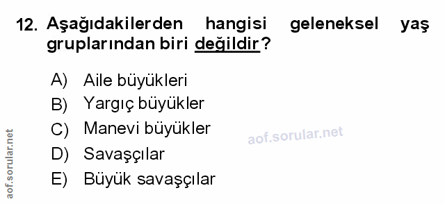 Soru 12