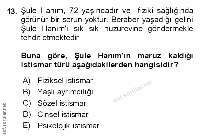 Soru 13