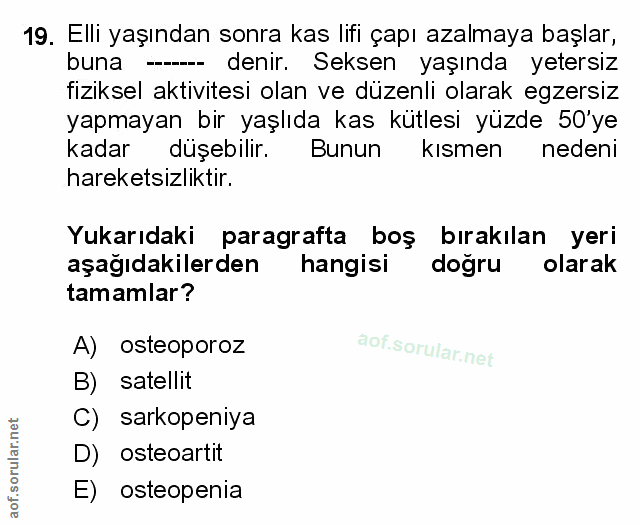 Soru 19