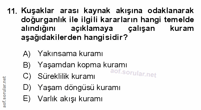 Soru 11
