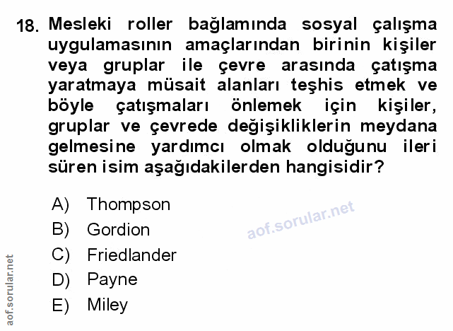 Soru 18