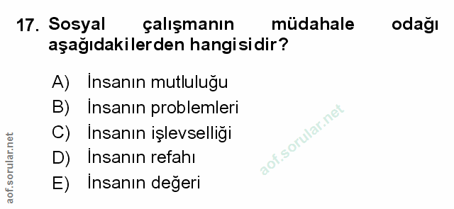 Soru 17