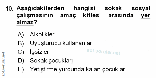 Soru 10