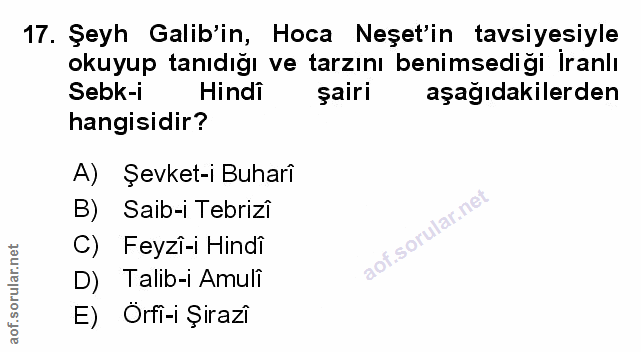 Soru 17
