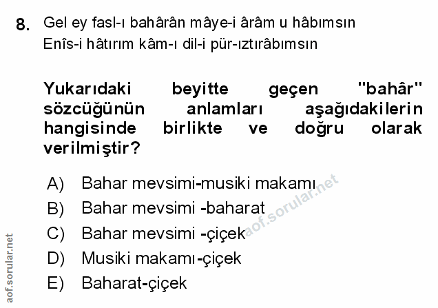 Soru 8