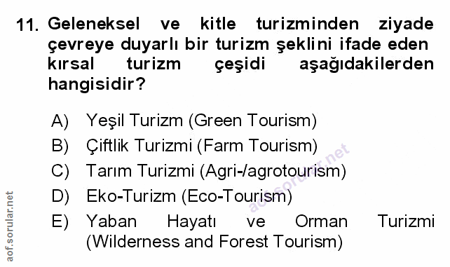 Soru 11