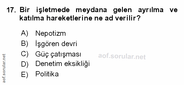 Soru 17
