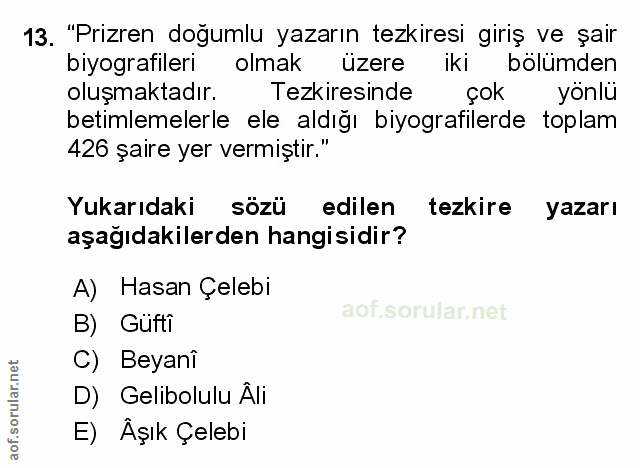 Soru 13