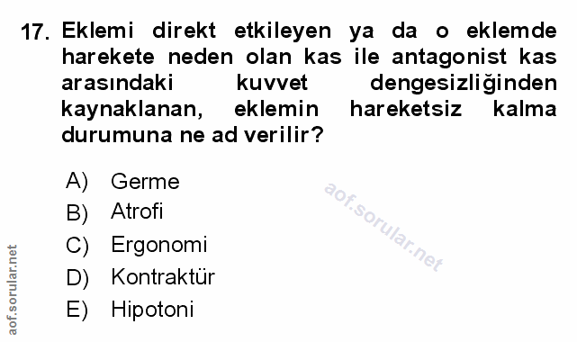 Soru 17
