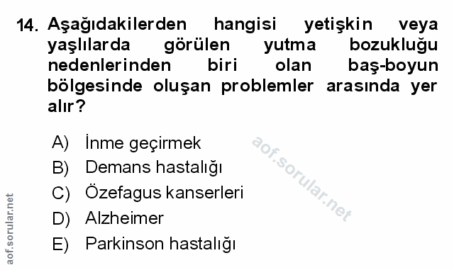 Soru 14