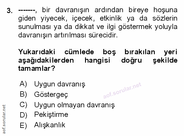 Soru 3
