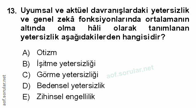 Soru 13