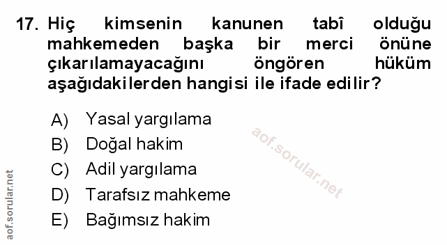 Soru 17