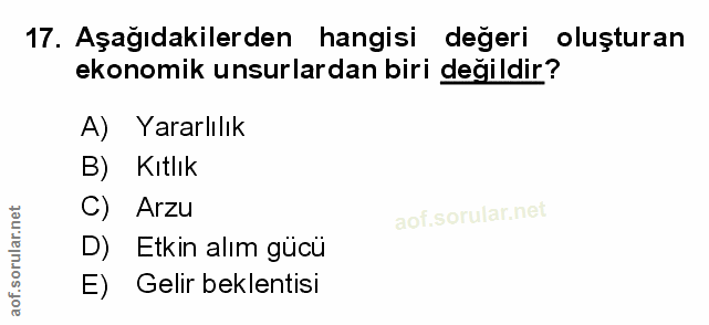 Soru 17