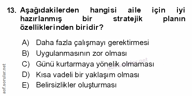 Soru 13