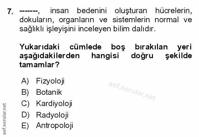 Soru 7
