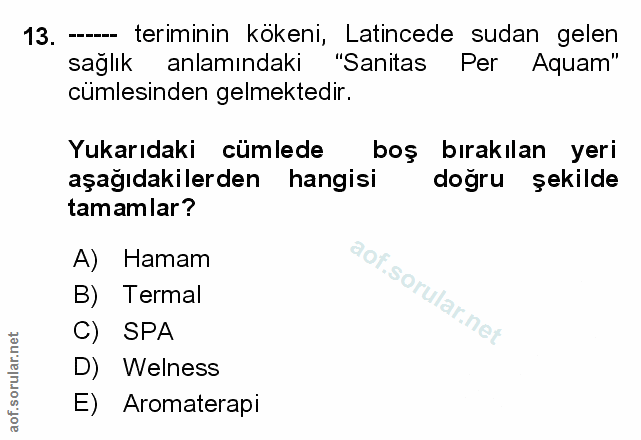 Soru 13
