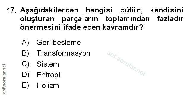 Soru 17