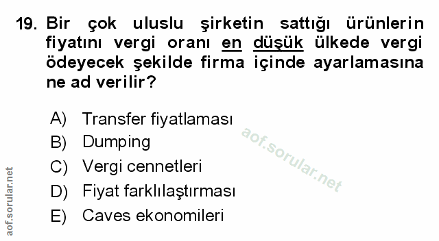 Soru 19
