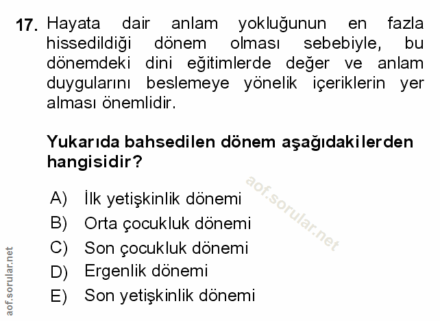 Soru 17