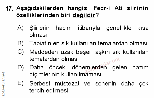 Soru 17