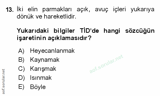 Soru 13