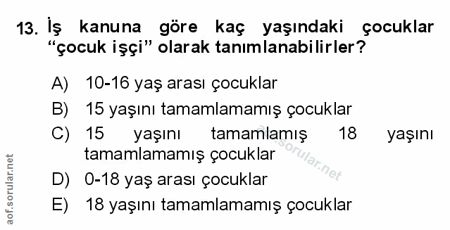 Soru 13