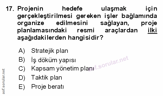 Soru 17