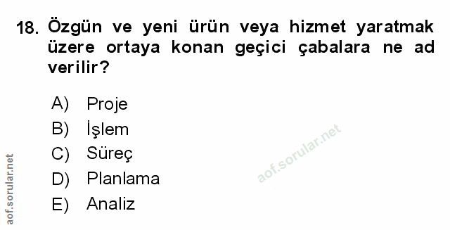 Soru 18