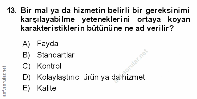 Soru 13