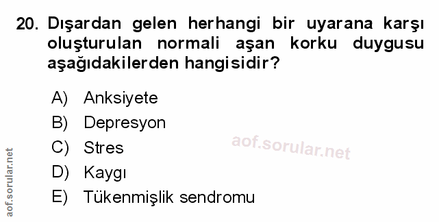 Soru 20