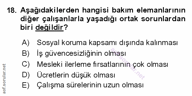 Soru 18