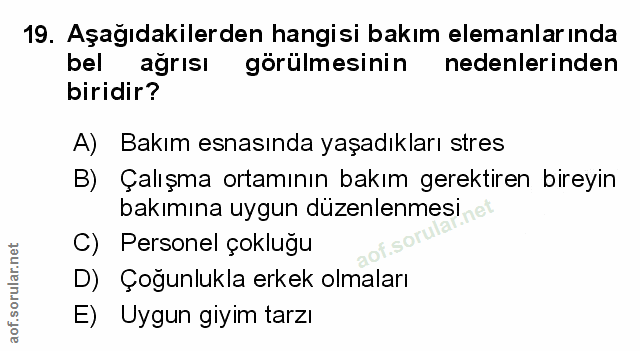 Soru 19