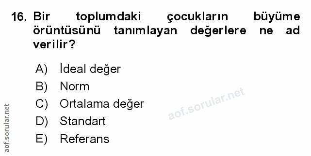 Soru 16