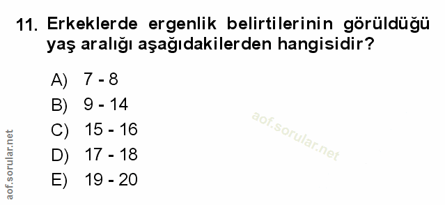Soru 11