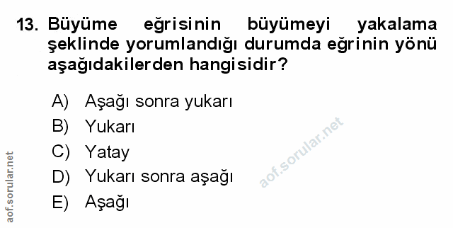 Soru 13