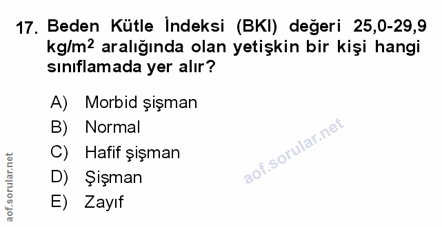 Soru 17