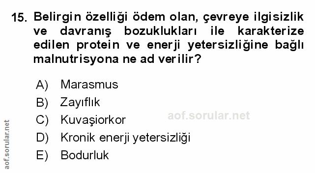 Soru 15