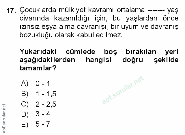 Soru 17