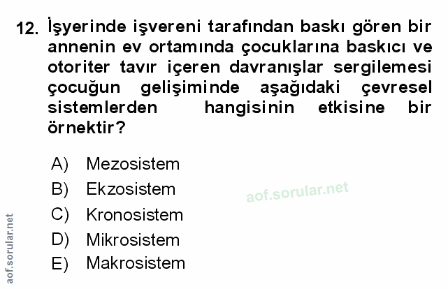 Soru 12